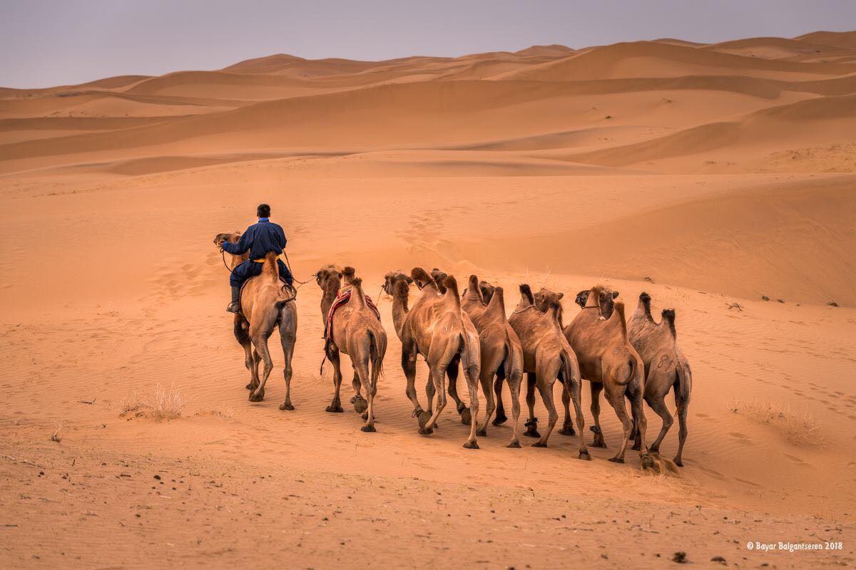 which famous ancient travel routes crossed the gobi desert