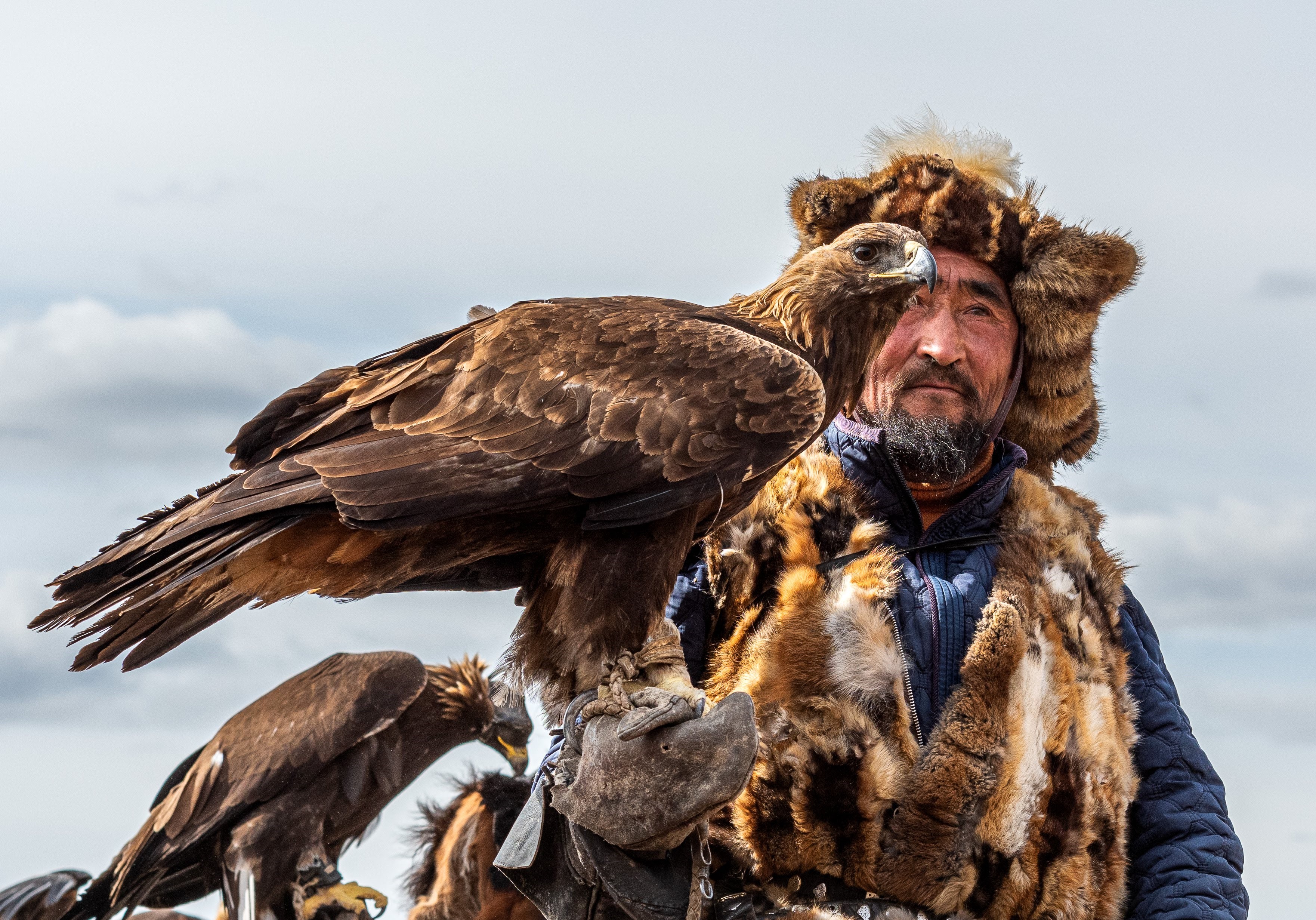 Eagle Hunting Tourhunting With Golden Eagle Eagle Festival