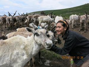 reindeer herders in nothern Mongolia