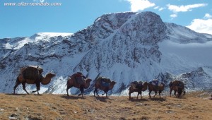 Altai trekking mongoli